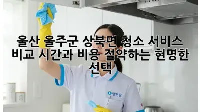 울산 울주군 상북면 청소 서비스 비교: 시간과 비용 절약하는 현명한 선택