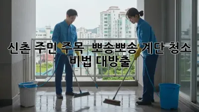 신촌 주민 주목! ✨ 뽀송뽀송 계단 청소 비법 대방출 🧹